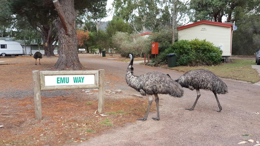 Breeze Holiday Parks - Grampians Halls Gap Exterior foto