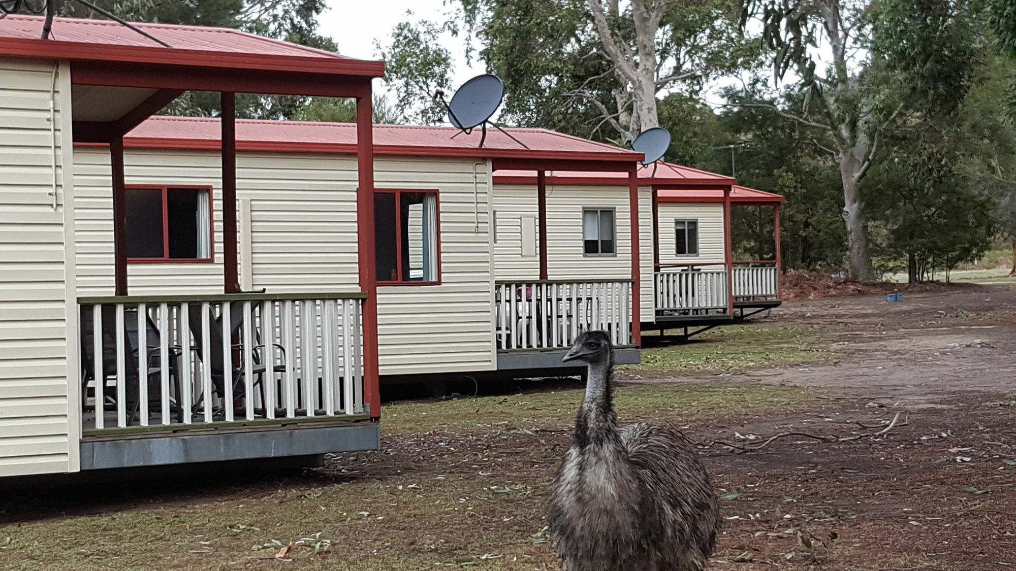 Breeze Holiday Parks - Grampians Halls Gap Exterior foto